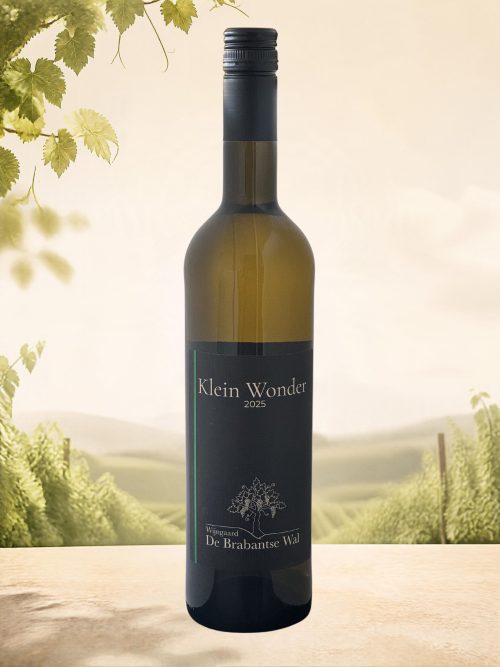 Klein Wonder 2025